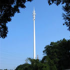 Torres profissionais das telecomunicações, torre disfarçada do pinheiro
